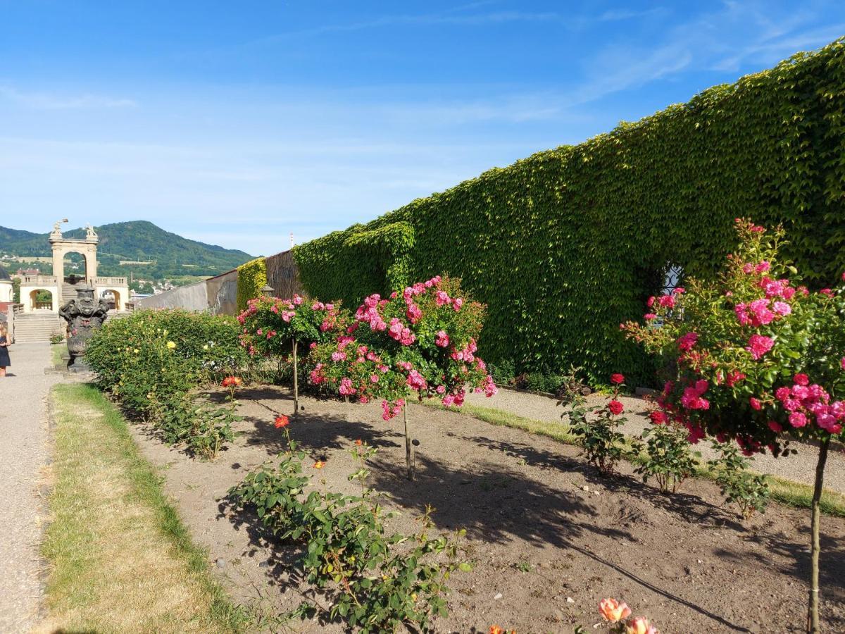 Apartments Rose Garden Decin Extérieur photo